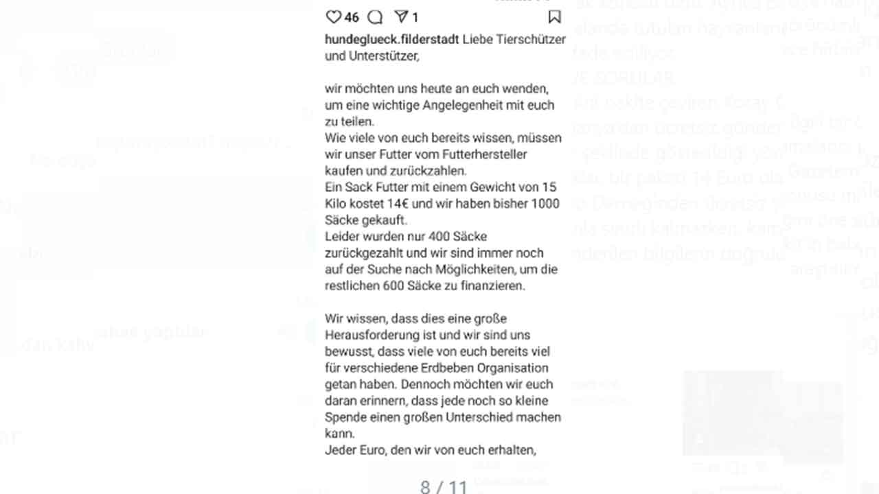 Foto - Köpek bağışları nereye gidiyor, merak ediyor musunuz? Melekler Şehri’nde şeytani vurgun
