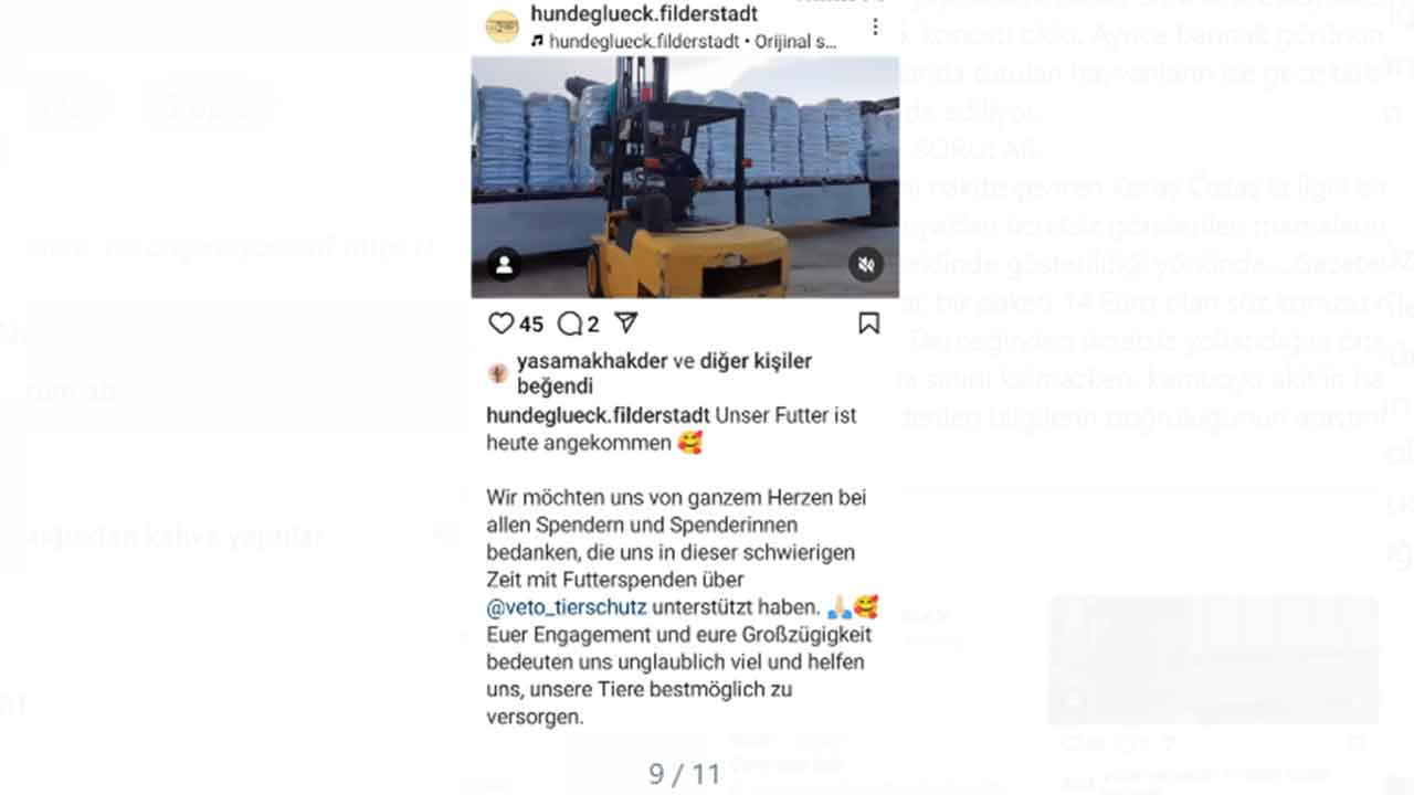 Foto - Köpek bağışları nereye gidiyor, merak ediyor musunuz? Melekler Şehri’nde şeytani vurgun