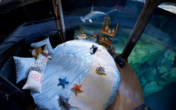 Foto - Köpek balıklarıyla çevrili otel odası