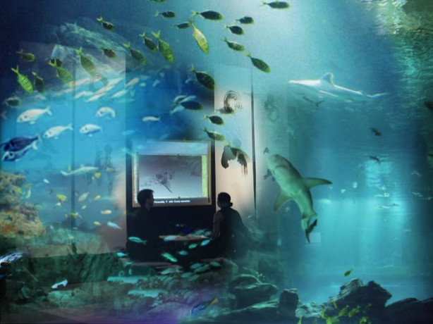 Foto - Köpek balıklarıyla çevrili otel odası