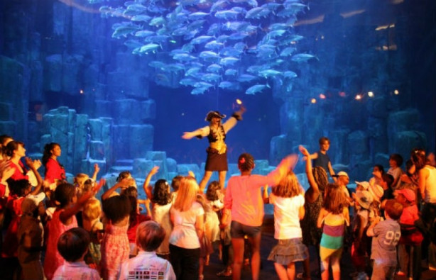 Foto - Köpek balıklarıyla çevrili otel odası