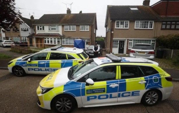 Foto - Köpek lobisinin dikkatine! Sahibini parçalayıp öldürdü