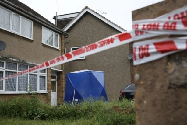 Foto - Köpek lobisinin dikkatine! Sahibini parçalayıp öldürdü