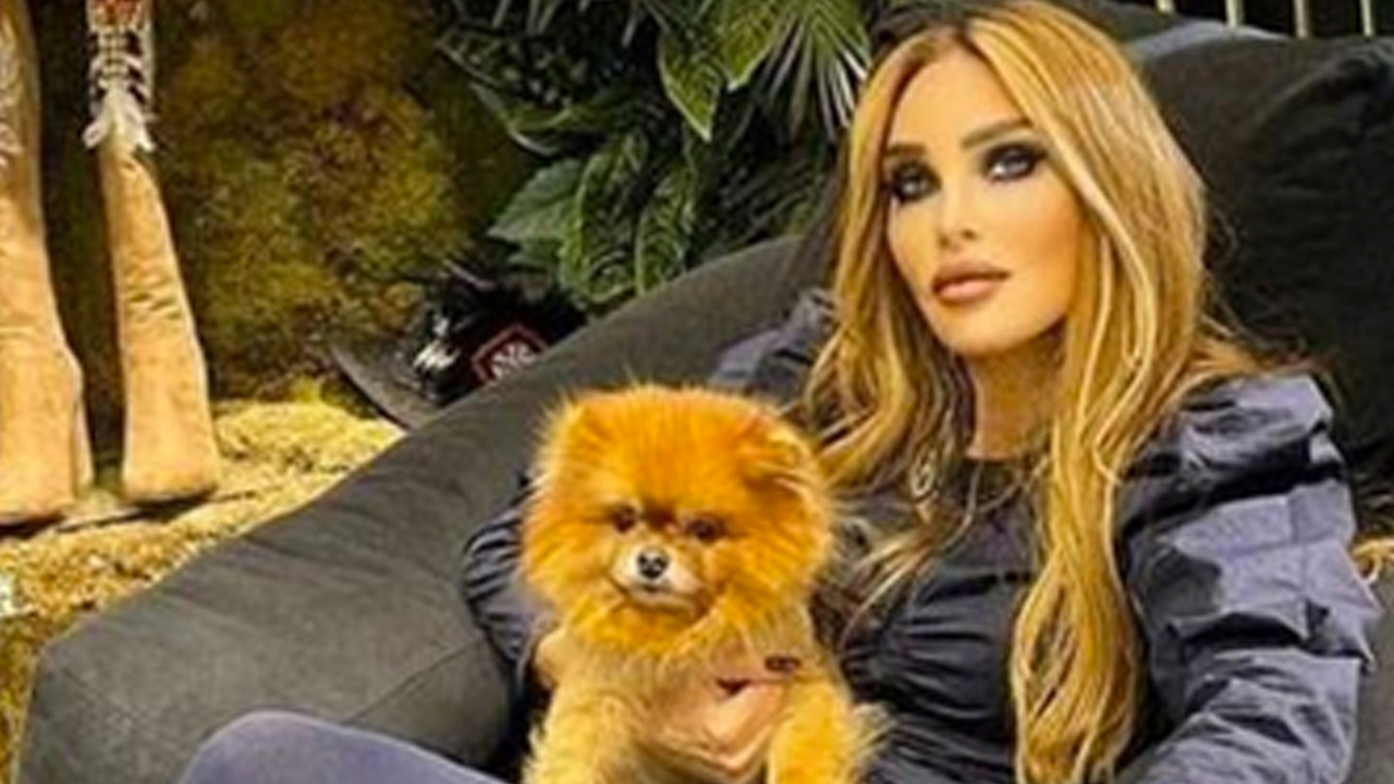 Foto - ‘Köpek’ Seren Serengil’i şaşırtmış anlaşılan! Bu neyin kafası böyle be kadın…