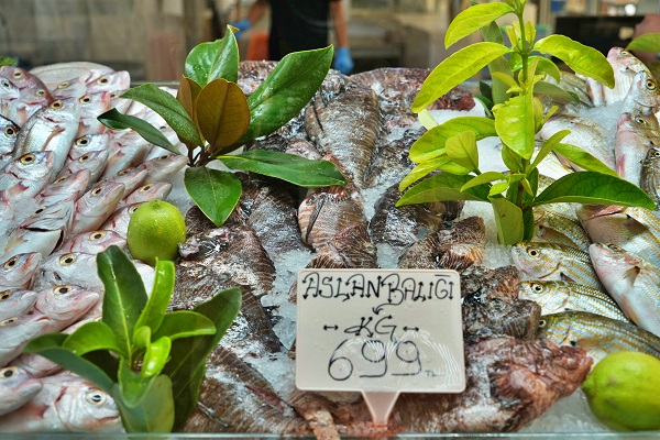 Foto - Köpekbalıkları bile yanına yanaşamıyor! Kilosu 699 liradan servis ediliyor