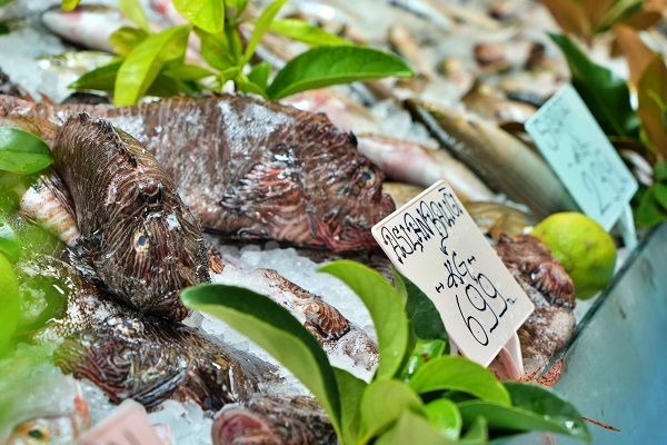 Köpekbalıkları bile yanına yanaşamıyor! Kilosu 699 liradan servis ediliyor