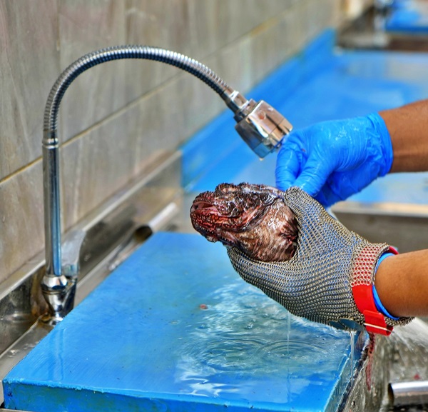 Foto - Köpekbalıkları bile yanına yanaşamıyor! Kilosu 699 liradan servis ediliyor