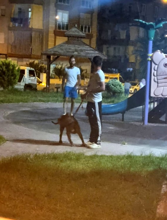 Foto - Köpekler kalıcı hasar bıraktı! 55 yaşındaki kadın ölümle burun buruna geldi