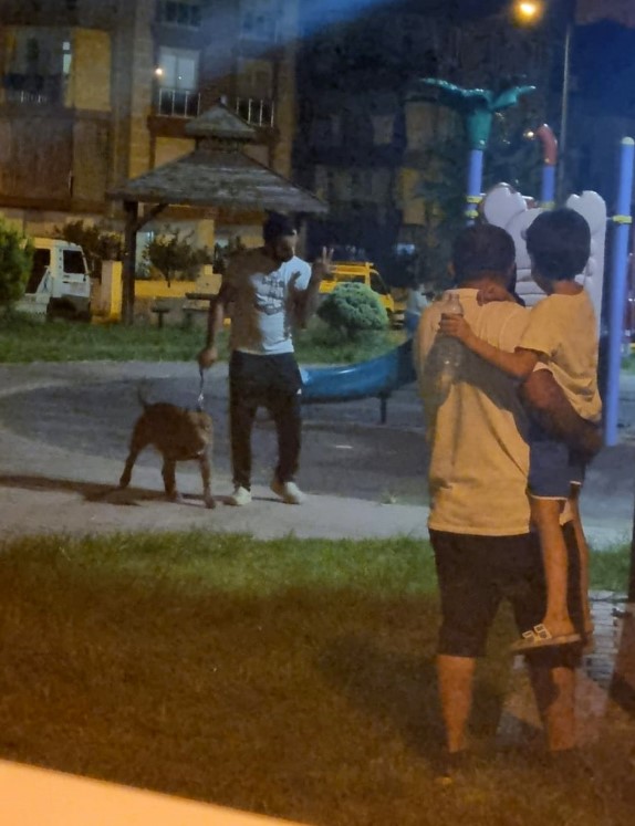 Foto - Köpekler kalıcı hasar bıraktı! 55 yaşındaki kadın ölümle burun buruna geldi