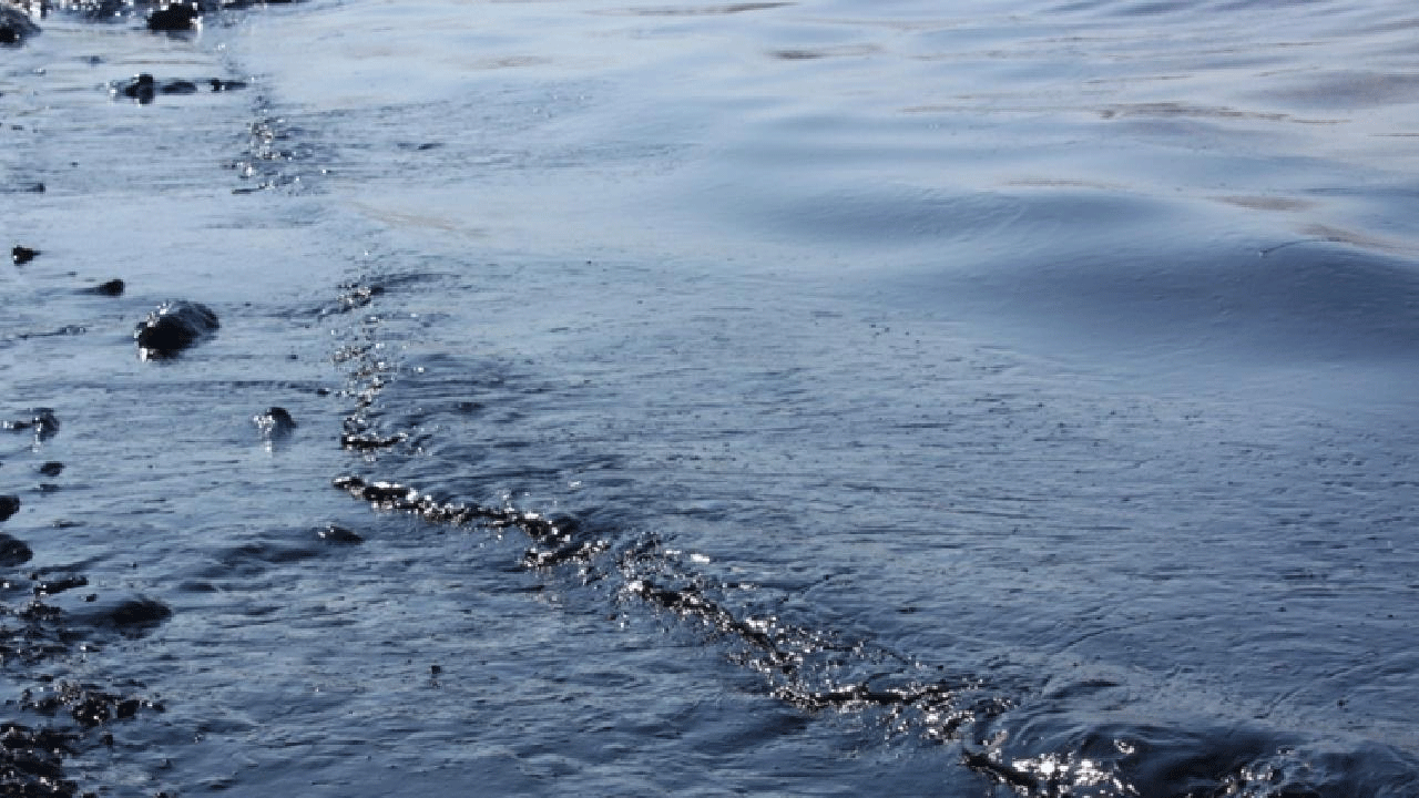 Foto - Körfez ülkesinin başı dertte: Bütün plajlar boş kaldı!