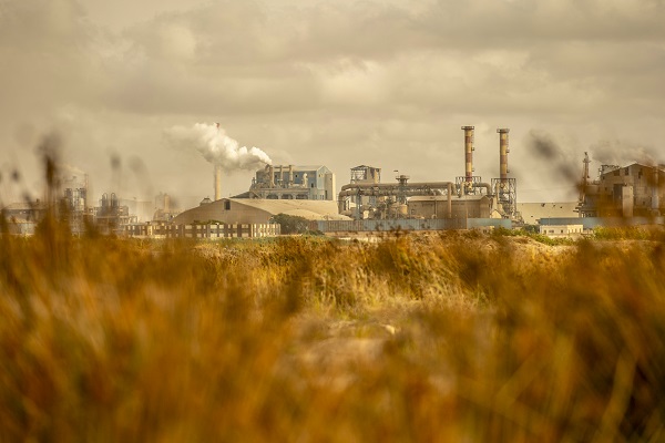 Foto - Körfez’de kimyasallar felakete yol açıyor
