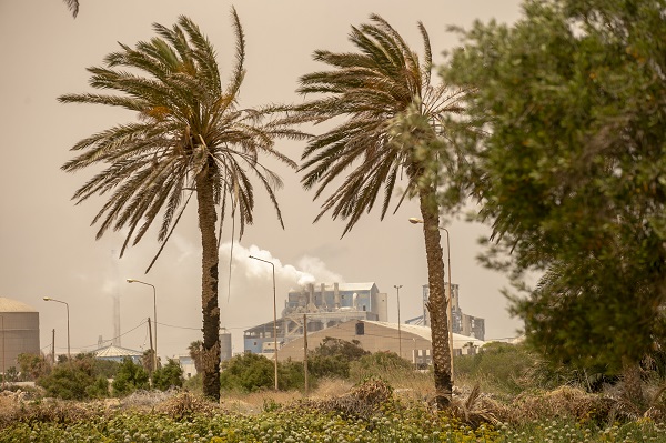 Foto - Körfez’de kimyasallar felakete yol açıyor
