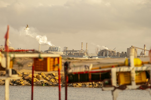 Foto - Körfez’de kimyasallar felakete yol açıyor