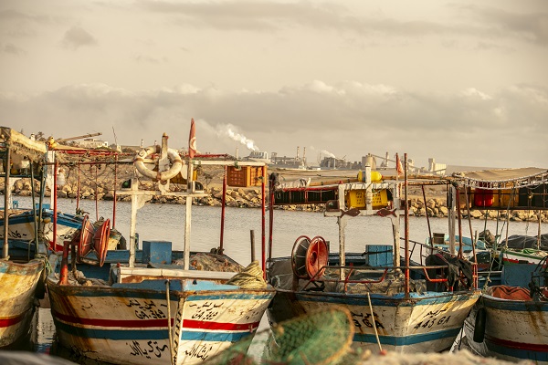Foto - Körfez’de kimyasallar felakete yol açıyor