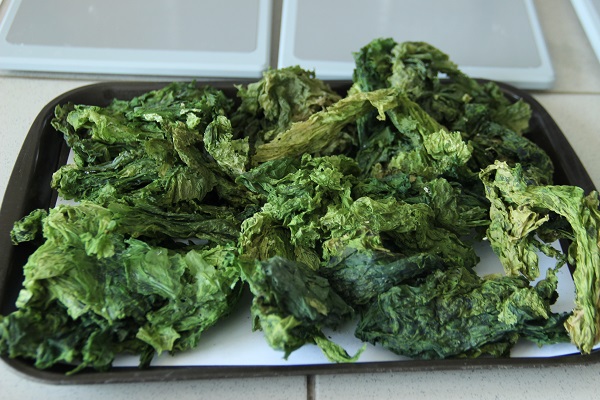 Körfez’i kirleten deniz marulundan öyle bir şey yapıldı ki!