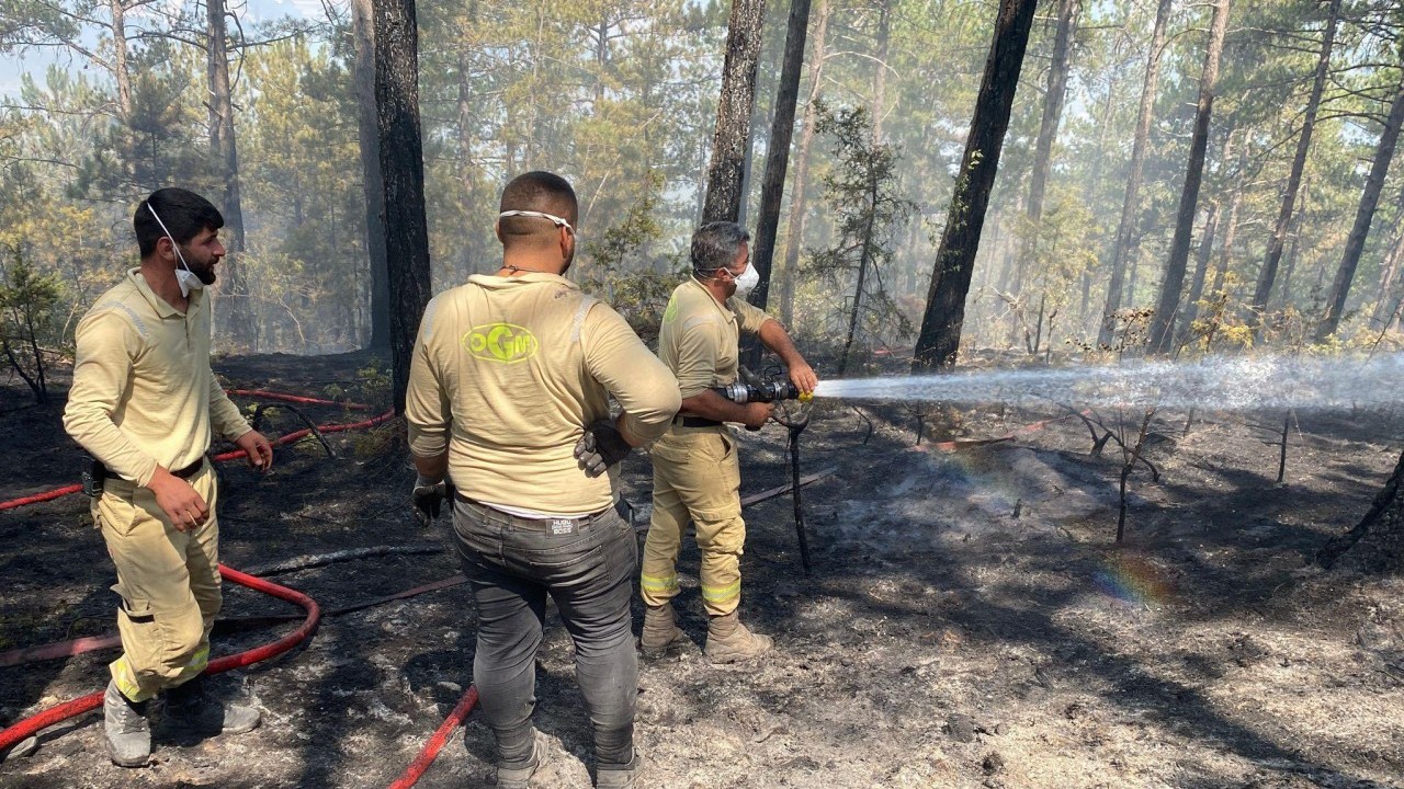 Korku filmi değil gerçek! Karabük'ten acı görüntüler