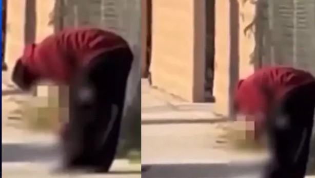 Korku filmi değil, gerçek! Kazada ölen kişinin kopup yola savrulan bacağını eline alıp böyle yedi! İşte şok eden görüntüler