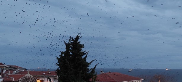 Foto - Korku sahnelerini aratmayan görüntü! Gökyüzüne bakan hayret etti