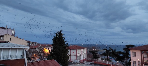 Foto - Korku sahnelerini aratmayan görüntü! Gökyüzüne bakan hayret etti