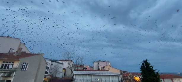 Foto - Korku sahnelerini aratmayan görüntü! Gökyüzüne bakan hayret etti