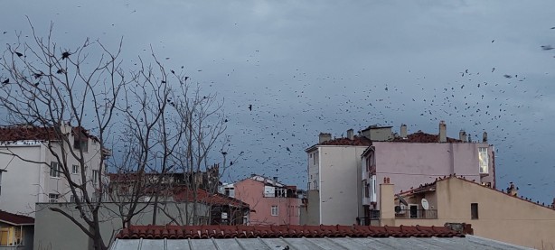 Foto - Korku sahnelerini aratmayan görüntü! Gökyüzüne bakan hayret etti