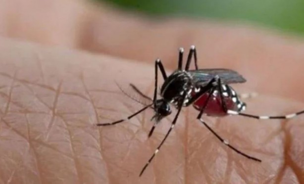 Foto - Korkulan hastalık İran'da görüldü