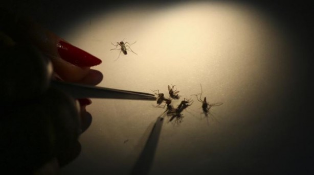 Foto - Korkulan hastalık İran'da görüldü