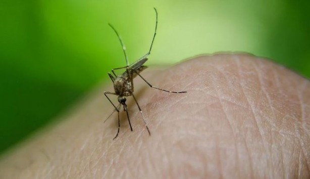 Foto - Korkulan hastalık İran'da görüldü