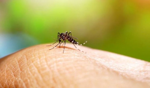 Foto - Korkulan hastalık İran'da görüldü