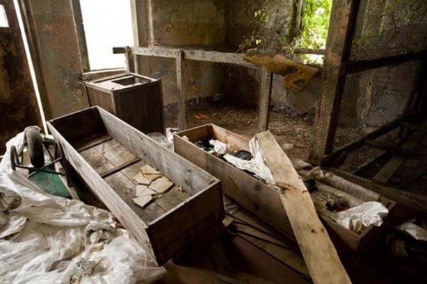 Foto - Korkunç görüntüleriyle terk edilmiş akıl hastaneleri