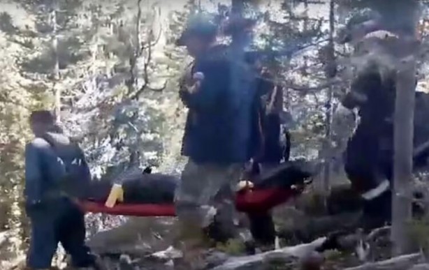 Foto - Korkunç olay! Ayı 16 yaşındaki çocuğu yedi