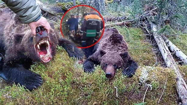 Korkunç olay! Ayı 16 yaşındaki çocuğu yedi