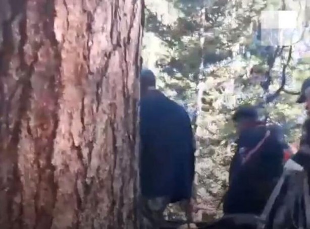 Foto - Korkunç olay! Ayı 16 yaşındaki çocuğu yedi