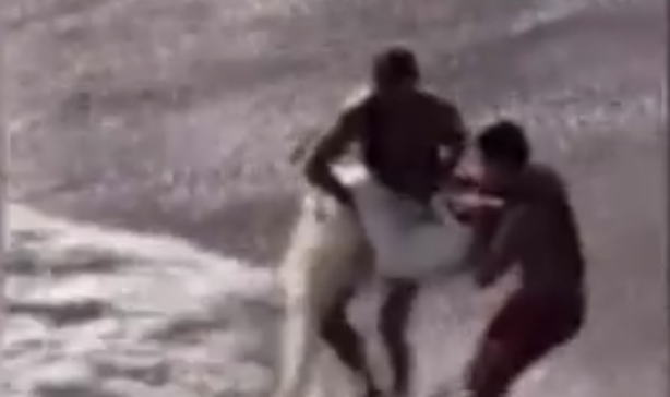 Foto - Korkunç olay! Düğün fotoğrafı çektirirken facia yaşandı