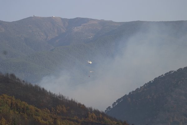 Foto - Korkunç yangın 3 yerleşim yerine ulaştı! 