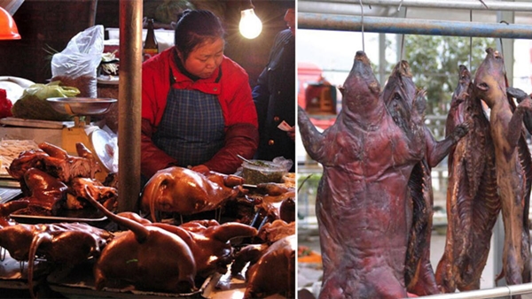 Foto - Korkutan açıklama! Koronavirüsün yayıldığı pazardan daha tehlikelisi gelecek