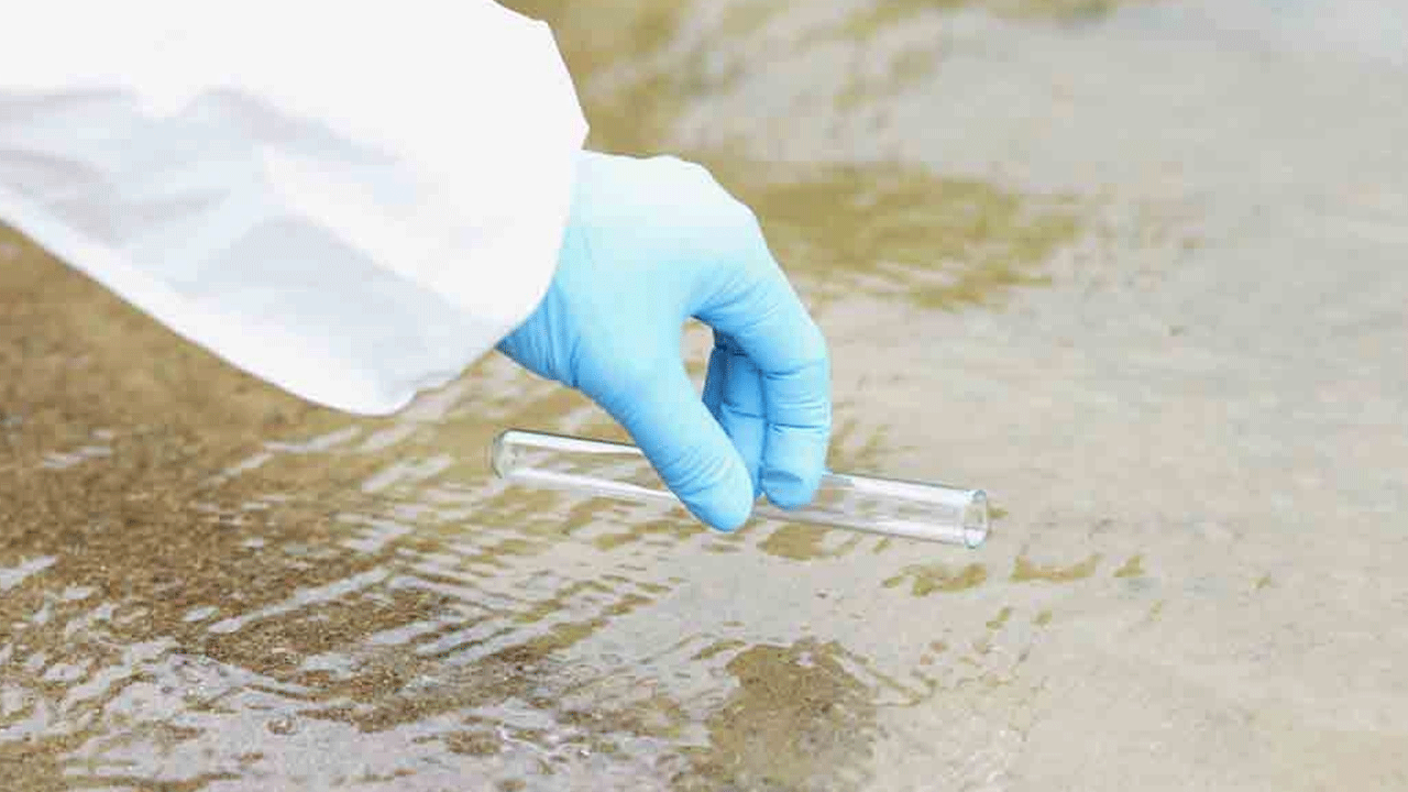 Korkutan haber! Bir haftada salgından 21 kişi öldü