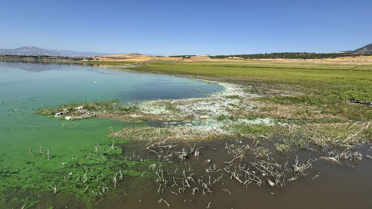 Foto - Korkutan manzara! Kahramanmaraş’ta gizemli balık ölümleri