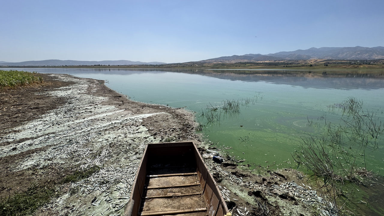 Foto - Korkutan manzara! Kahramanmaraş’ta gizemli balık ölümleri