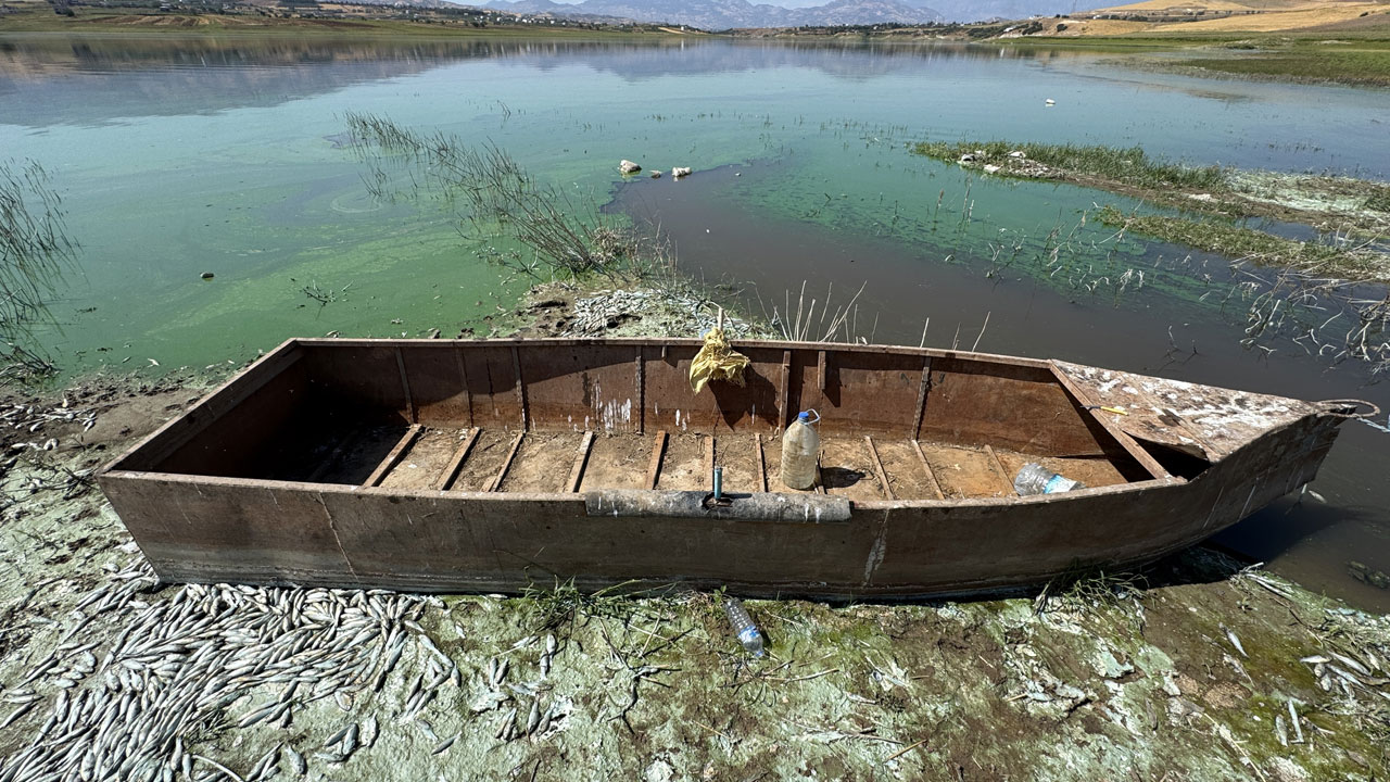 Korkutan manzara! Kahramanmaraş’ta gizemli balık ölümleri