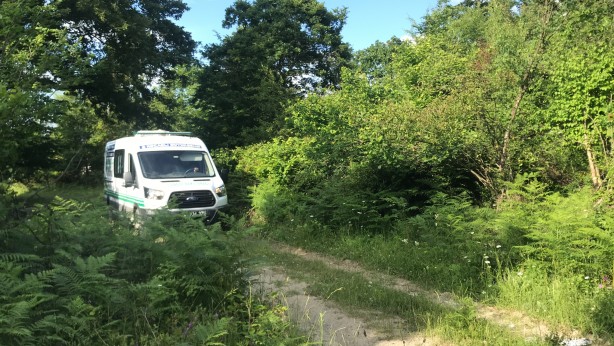 Foto - Korkutan manzara! Ormanlık alanda ceset bulundu