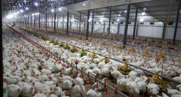 Foto - Korkutan yeni virüs açıklaması: Dünya nüfusunun yarısını öldürecek