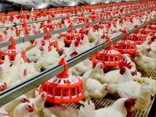 Foto - Korkutan yeni virüs açıklaması: Dünya nüfusunun yarısını öldürecek