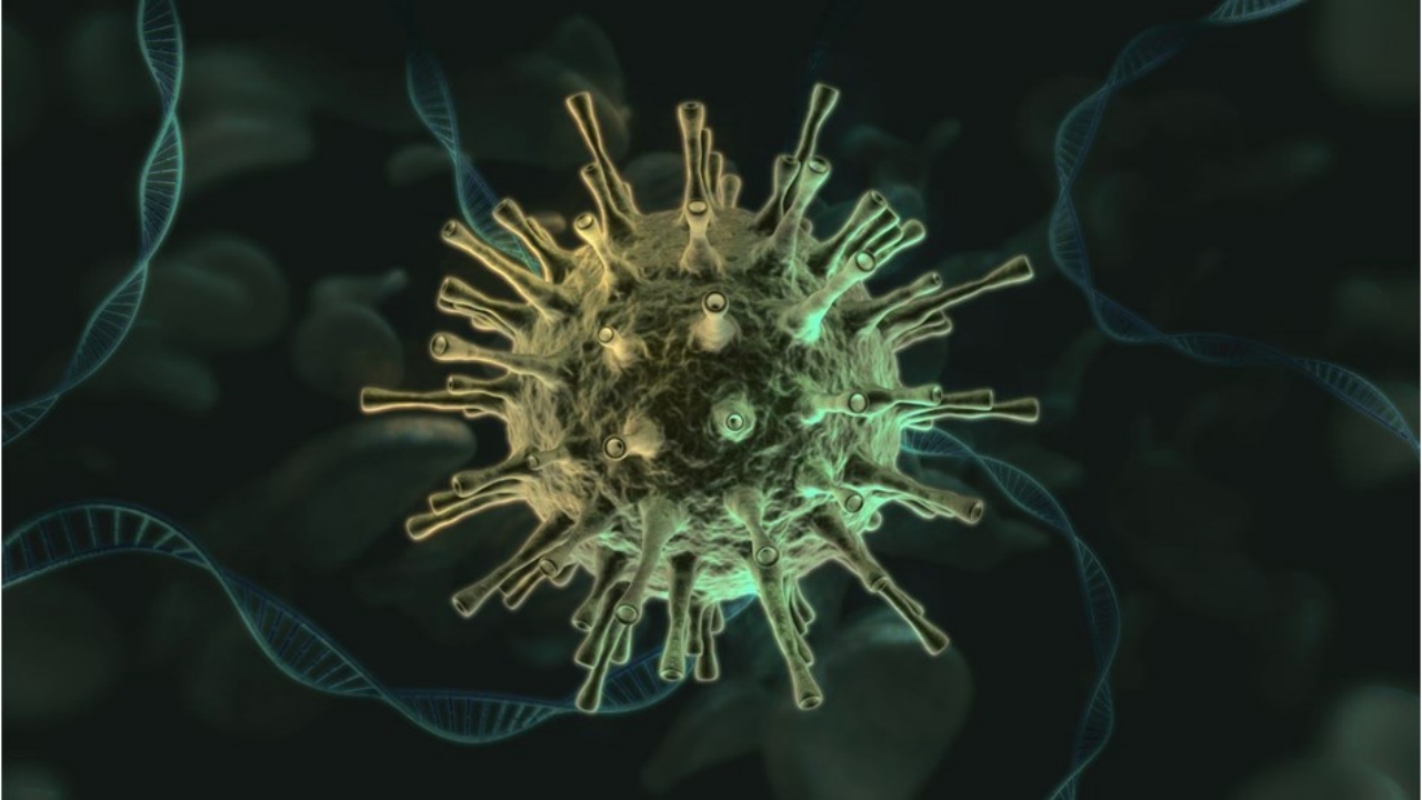 Foto - Korona falan değil! İnsanlık tarihinin en ölümcül hastalığı yeniden hortladı