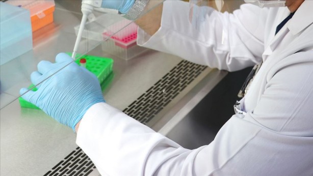 Foto - Koronavirüs 1964'te keşfedildi! İşte onu ilk bulan kişi