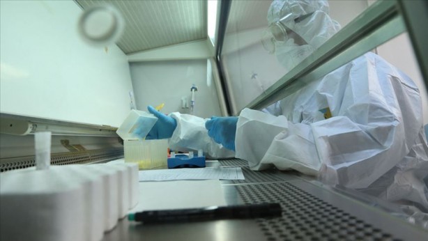 Foto - Koronavirüs 1964'te keşfedildi! İşte onu ilk bulan kişi