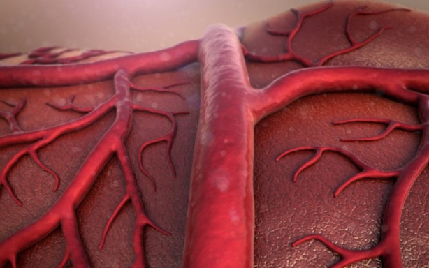 Foto - Koronavirüs aşısı hakkında doğru bilinen yanlışlar!