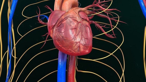 Foto - Koronavirüs aşısı hakkında doğru bilinen yanlışlar!