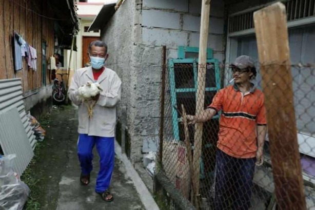 Foto - Koronavirüs aşısını teşvik için tavuk veren ülkeler bile oldu