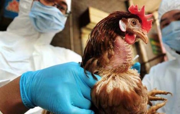 Foto - Koronavirüs bitmeden yeni salgın paniği!